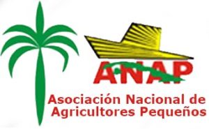 ANAP-logo