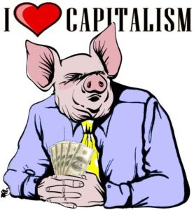 porco capitalista