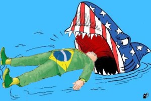 brasil y tiburon USA