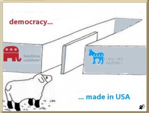 democracy made USA